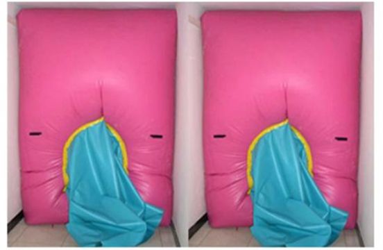 點擊查看詳細信息<br>標(biāo)題：快速封堵氣囊 閱讀次數(shù)：2836